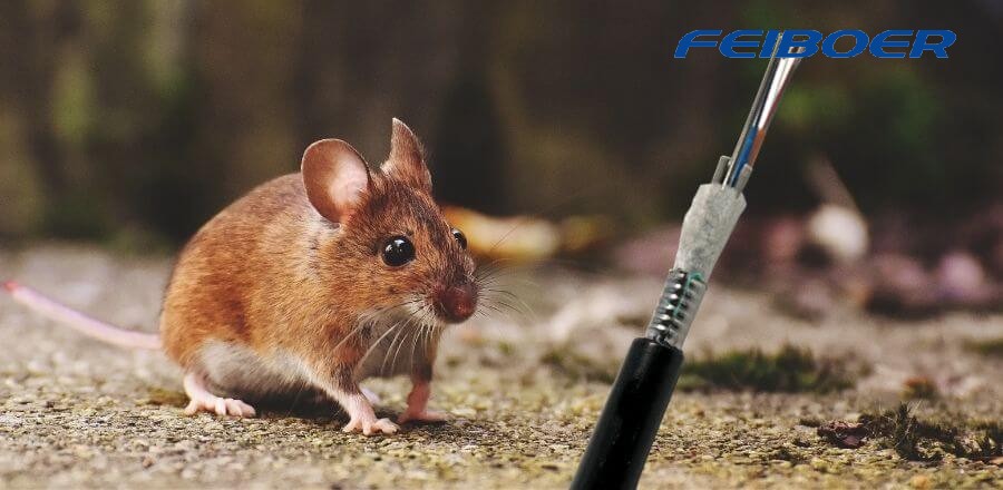Advantages of outdoor mouse prevention optical cable